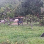 Fazenda em Goiás