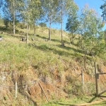 Terreno à venda na Leopoldo Klein, 1, Colônia Santana, São José