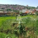 Terreno à venda no Jardim São Judas Tadeu em Campinas - SP