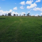 Fazenda à venda na pontal do araguaia, 00, Centro, Pontal do Araguaia