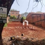 Terreno à venda, 250 m² por R$ 115.000,00 - Jardim Paris - Londrina/PR