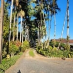 TERRENO no AREIAS PEQUENAS com 0 quartos para VENDA, 58357 m²