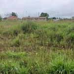 EXCELENTE CHACARA SEM BENFEITURIAS 2.000 M2 CAMPO L.DA ROSEIRA 330.000,00