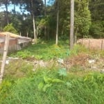 EXCELENTE LOTE COM 390 M2 SEM BENFEITURIAS SENDO 13X30 -390 M2 BAIRRO DAS NACOEIS  FAZENDA R.GRANDE 200,000