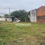 Terreno comercial para alugar na Avenida São Borja, 1363, Rio Branco, São Leopoldo