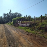 Terreno à venda na Manoela de Oliveira, 2085, Azevedo, Capela de Santana