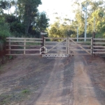 Terreno à venda na Manoela de Oliveira, 2085, Azevedo, Capela de Santana