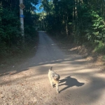 Terreno à venda na Ulisses de Macedo Barreira, 500, Embu Mirim, Itapecerica da Serra