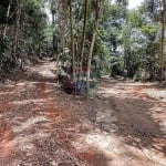 Terreno com 27.000 com platô e acesso ao riacho