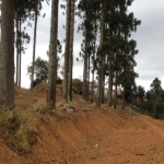 Terreno à venda na dos Fischers, 501, Jardim Sandra, Cotia