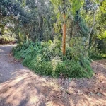 Terreno à venda na João Kacic, 531, Jardim Riviera, São Paulo