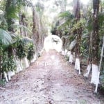 Área no Litoral do Paraná - Guaraguaçú a 07 Km do Balneário Praia Leste