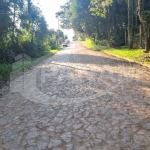 Terreno à venda na Rua Maurício Sirotski Sobrinho, 951, Fiuza, Viamão