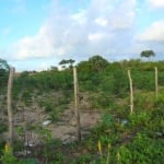 Terreno para vender, cond. Parque das Árvores, com área de 1.000 m².