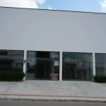 Amplo Galpão comercial com  582,37 m2 em Camboriú