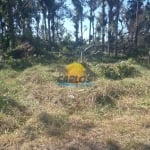 Terreno à venda na Rua Abel da Costa Flores, 1020, Balneário Guaciara, Matinhos