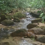 Sítio / Chácara para Venda no bairro COLONIA QUINTILHA em PARANAGUA, Sem Mobília, 160000 m² de área total, 160000 m² privativos,