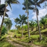 Sítio / Chácara para Venda no bairro COLONIA QUINTILHA em PARANAGUA, Sem Mobília, 160000 m² de área total, 160000 m² privativos,