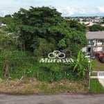 Terreno à venda, 390 m² por R$ 250.000,00 - Cohapar - Guaratuba/PR