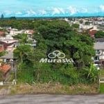 Terreno à venda, 780 m² por R$ 500.000,00 - Piçarras - Guaratuba/PR