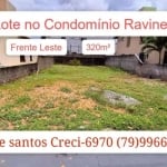 Lote no Ravines aruana