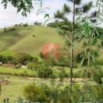 Terreno com 30.000 m2 no bairro do Grama em Paraibura