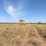 Fazenda para Venda em Divinópolis do Tocantins, Central