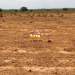 Fazenda para Venda em Dois Irmãos do Tocantins, Área rural com expansão consolidada