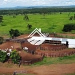 Fazenda para Venda em Palmas, Área Rural Vale do Araguaia