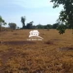 Fazenda para Venda em Palmas, Área Rural Vale do Araguaia