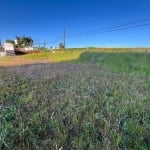 Terreno à venda na São Vicente de Paula, S/N, Universitário, Chapecó