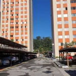 Apartamento à venda na Rua das Laranjeiras, Parque Terra Nova, São Bernardo do Campo - SP