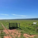 Fazenda em Rondonópolis Mato Grosso