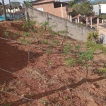 Terreno à venda, 150 m² por R$ 115.500,00 - Faisqueira - Pouso Alegre/MG