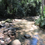 Propriedade c/ Cachoeira Privada