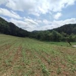 Chácara para Venda em Campo Largo, Retiro