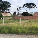 Terreno para Venda em Campo Largo, Loteamento São Gerônimo