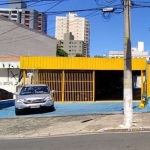 Terreno Padrão para Locação na Vila Itapura, Campinas/SP - 700m²