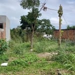 Terreno para Venda em Camaçari, Vila de Abrantes (Abrantes)