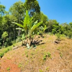 Terreno para Venda em Florianópolis, Córrego Grande