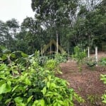 Terreno para Venda em Florianópolis, Córrego Grande