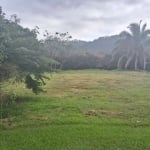 LOTE, TERRENO NO ALDEIA DO VALE NA AVENIDA FLORESTA  Lote  à Venda, 1470 por R$ 2.000.000 no setor Residencial Aldeia do Vale TA21242