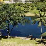 Ágio ÁGIO - LOTE CONDOMÍNIO FECHADO - ENTRE LAGOS Lote  à Venda, 406.72 por R$ 652.500 no setor Residencial Parque dos Buritis VN23008