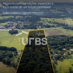 Área para potecial loteamento - GO-080 Goiânia