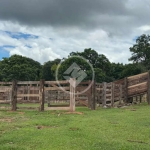 Fazenda  5km próximo Rochedo codigo: 106162