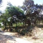 Terreno em condomínio fechado à venda na Palmeira Seafórsia, s/n, Jardim Campo Grande, Campinas