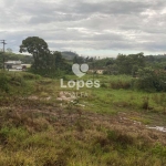 Lote à Venda  com 3.000m² -Excelente Localização na Colônia Rodrigo Silva