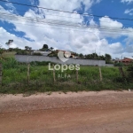 Lote à venda em Barbacena, Colônia Rodrigo Silva, 800m²