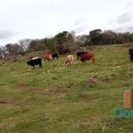 Chácara / sítio à venda na Arcido Giacomo Dall'agnol, 00, Santa Lúcia do Piaí, Caxias do Sul
