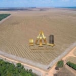 Fazenda à venda em Campo Novo de Parecis - MT